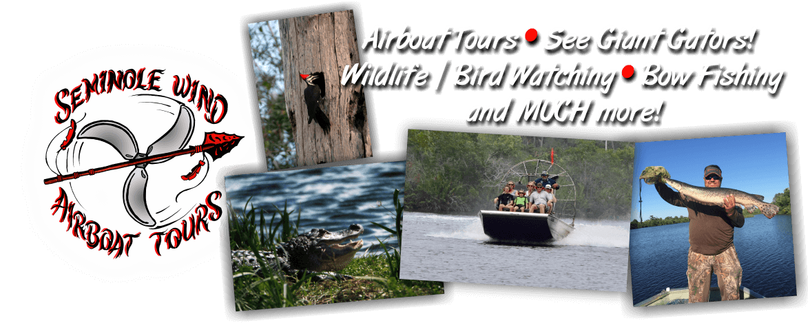 airboat tours tampa area